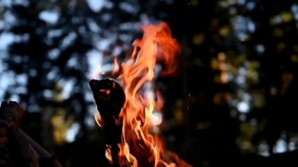 Мое мнение о Мессенджер "MAX"