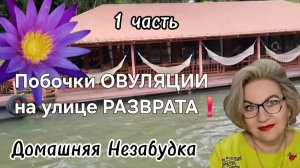 1 часть. Побочки ОВУЛЯЦИИ на улице РАЗВРАТА❗️