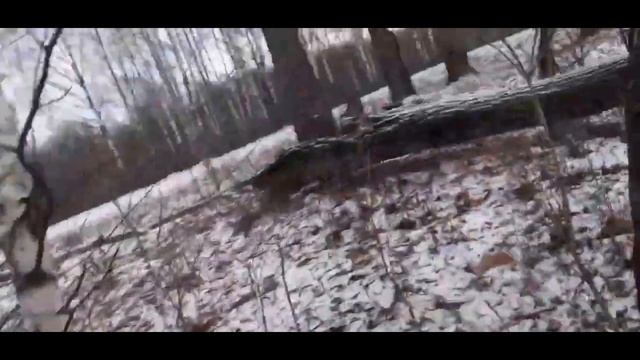 похищенный для леса ЧАСТЬ 17