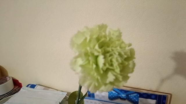 Гвоздика. смотреть онлайн