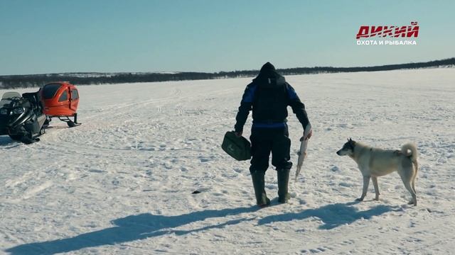 На Кольском ранней весной.