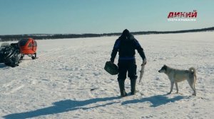 На Кольском ранней весной.