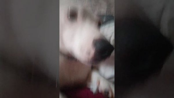 клип на 120 подписчиков.