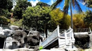 Без имени 6_1080p_1.mp4