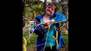 Лучшие годы с тобой