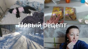 📽Стерилизация кошки//У меня выходные//Котлеты по-новому #реальнаяжизнь