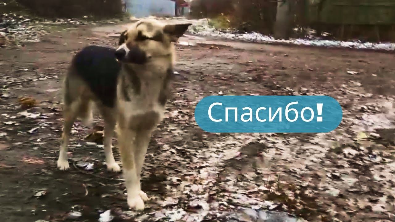 ✔Всё нормально ✔