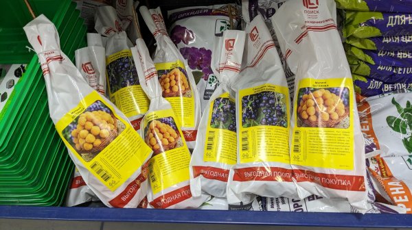 В Фикс Прайс привезли свежие саженцы по хорошей цене. Новинки во всех отделах