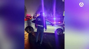 Хроника происшествий. Выпуск 227