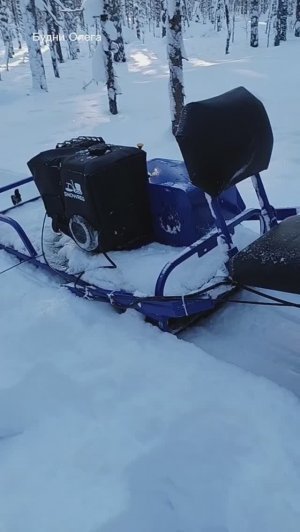 АЛЬБАТРОС XLV9 МОТОТОЛКАЧ. ПЕРВЫЕ ПОКАТУШКИ. КАК ОН ЕДЕТ ПО ГЛУБОКОМУ СНЕГУ? 03.02.26