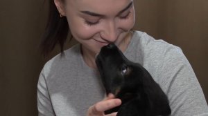 Новая семья для щенят