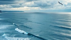 дело обережку вечером