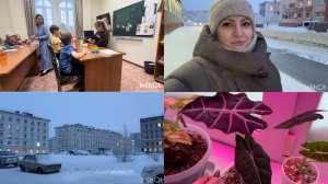 Норильск/Купила цветы/ Мирон пошёл в Воскресную школу.