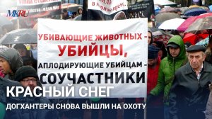 Отравление собак как массовое преступление: должны ли догхантеры стать экстремистами?