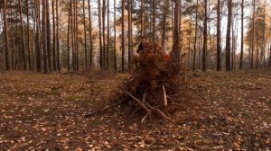 выживал в лесу ЧАСТЬ 2