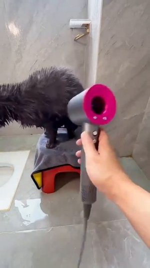 Видео от Департамент Вирусного Контента | ДВК