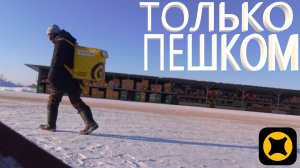 ПЕШИЙ КУРЬЕР СНЕЖНЫЙ КОЛЛАПС РАЗЛИЛ КАПУЧИНО РАБОТАЮ В ЯНДЕКС ДОСТАВКЕ и ЯНДЕКС ЕДЕ ЗАДЕРЖАЛИ ЗП