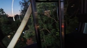 🎡65 метров восторга: мы с Алисой на колесе обозрения в Ростове "Одно небо"!