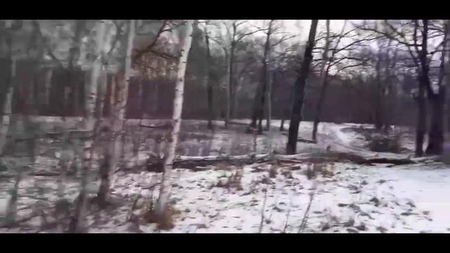 похищенный для леса ЧАСТЬ 11