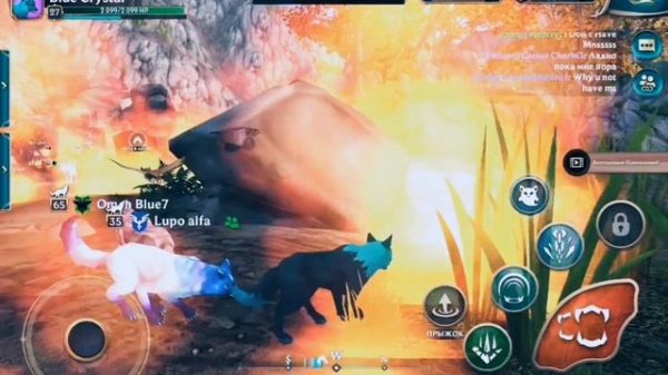 Wildcraft животные