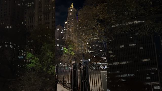 Гуляю по Нью-Йорку, День 1 смотреть онлайн