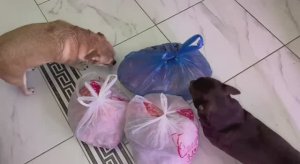 Закупились легким, стараемся немного сэкономить.