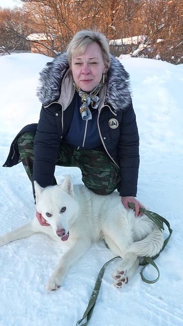 Ирбис: молодой пёс ищет дом и любящего хозяина