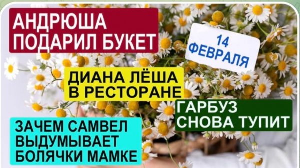САМВЕЛ АДАМЯН, ОБЗОР ОТ СК, ВЫДУМЫВАЕТ БОЛЯЧКИ МАТЕРИ, ПОЧЕМУ ВОНГ В РЕСТИКЕ, БУКЕТ СВЕТЛАНКЕ.