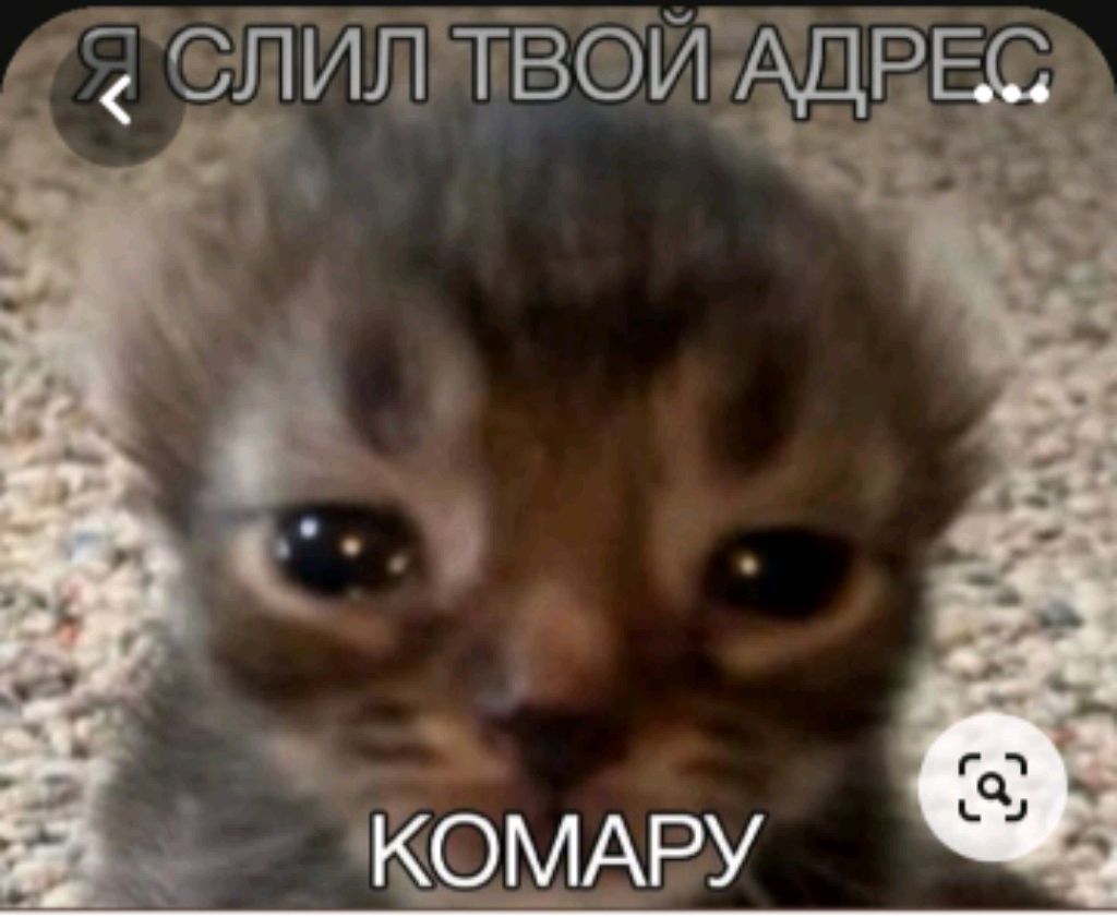 делаю уроки смотреть онлайн