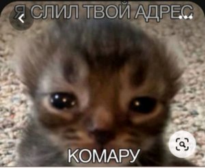 делаю уроки