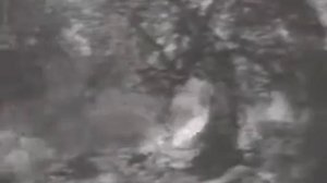 Официальный трейлер "Побег к ярости (1964)"