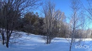 #Охота в Черепановском районе Новосибирской области