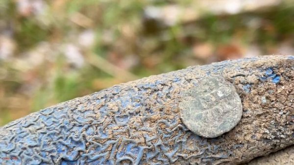 В старину тут был движ. Коп с Garrett Vortex