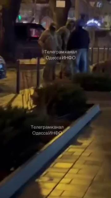 �������� � �������