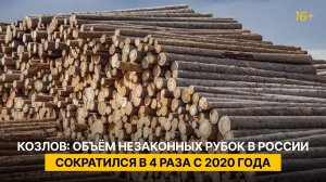 Козлов: объём незаконных рубок в России сократился в 4 раза с 2020 года