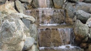 ВИДЕО  ПВН  ББ   (1278)