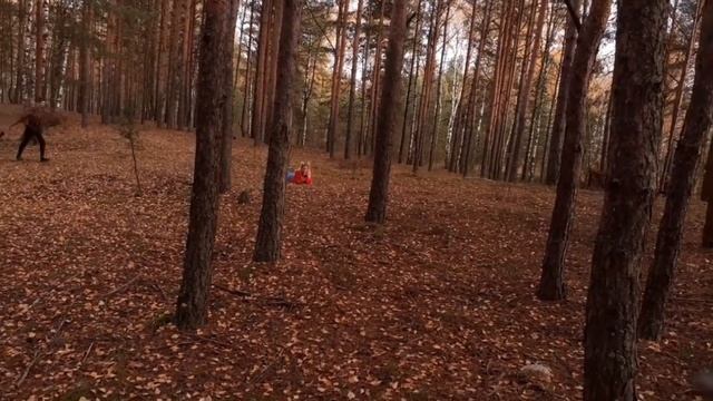 24 часа до смерти ЧАСТЬ 44