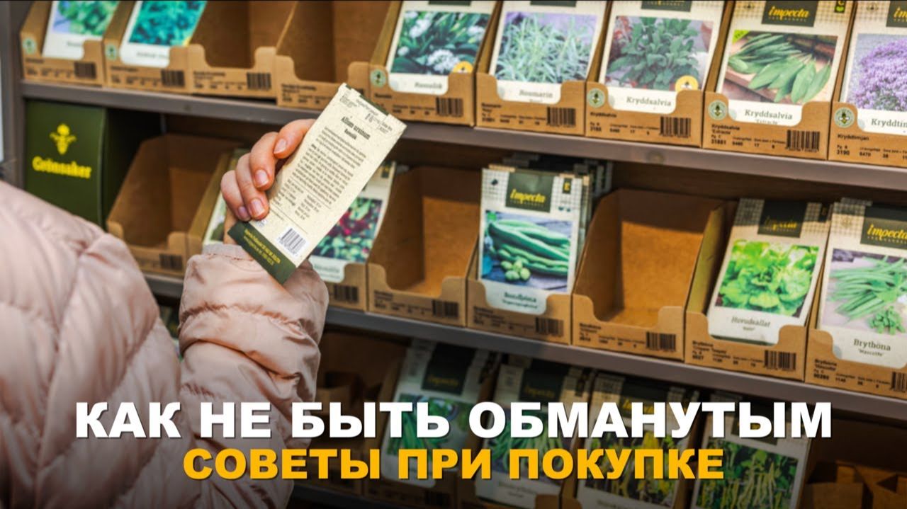ОСТОРОЖНО! НЕ СТАНЬТЕ ЖЕРТВОЙ. Как не попасть в ловушку при покупке семян, саженцев и биопрепаратов. смотреть онлайн