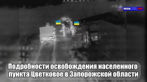 ✅ Подробности освобождения населенного  пункта Цветковое в Запорожской области