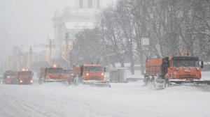 Снежный ад: на Центральную Россию обрушился обильный снегопад