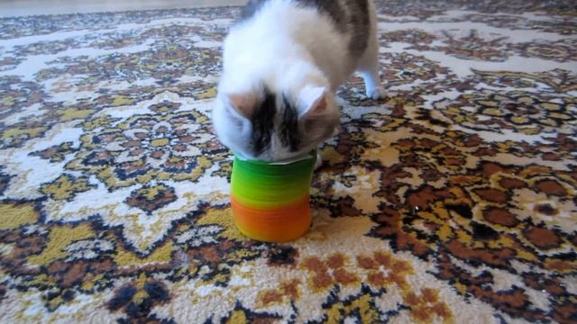 НЕОБЫЧНЫЙ СНЕГ ДЛЯ КОТОВ ❄️😱 ЧТО ЭТО? смотреть онлайн