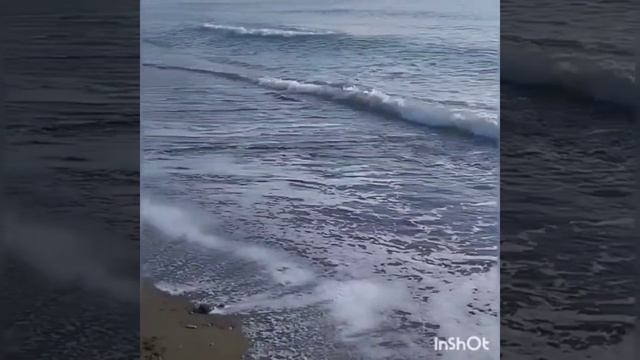 Не тратьте жизнь на тех,
кто Вас не ценит. смотреть онлайн