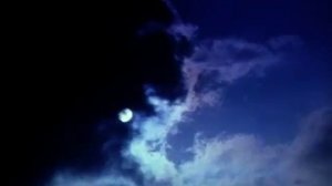 Официальный трейлер "Преследование по пятам (1987)"