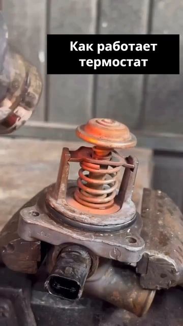 Показываем наглядно, как работает термостат. Вдруг кому-то это будет интересно.