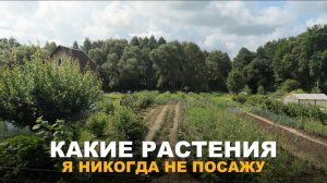 ОВОЩИ, ЧТО БОЛЬШЕ НЕ СЕЮ. Овощные культуры, которые уходят из моего огорода.