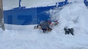 Трагедии можно было избежать? Почему никто не убирал тонны снега с крыши спортплощадки в Югре