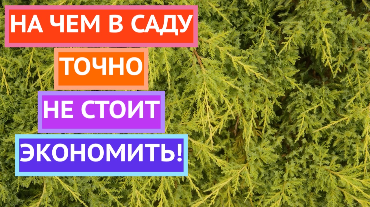 Четыре вещи на которых точно не стоит экономить в саду! смотреть онлайн