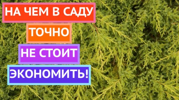 Четыре вещи на которых точно не стоит экономить в саду!