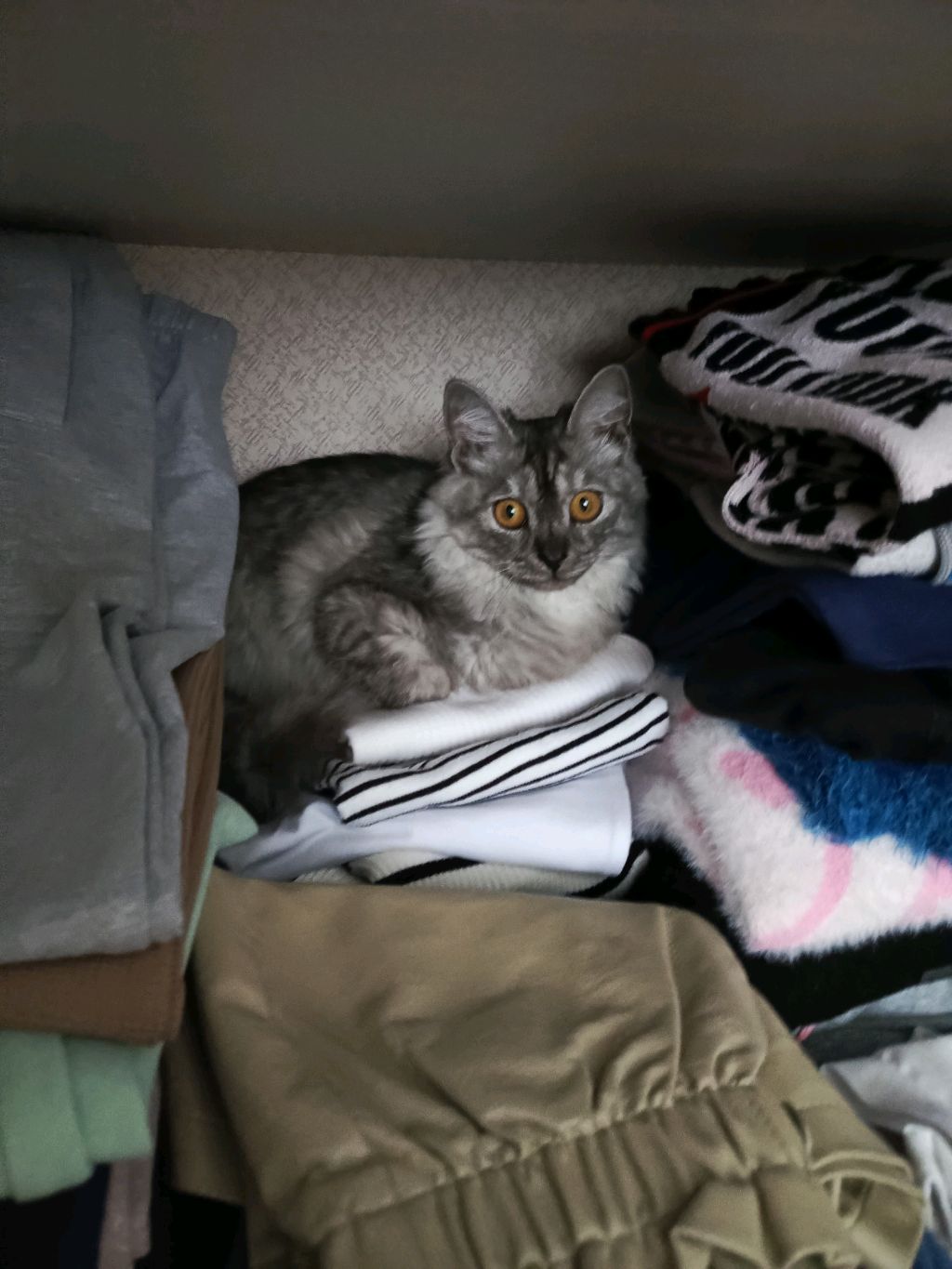 привет 👋 любимки 💋 смотреть онлайн