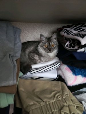 привет 👋 любимки 💋